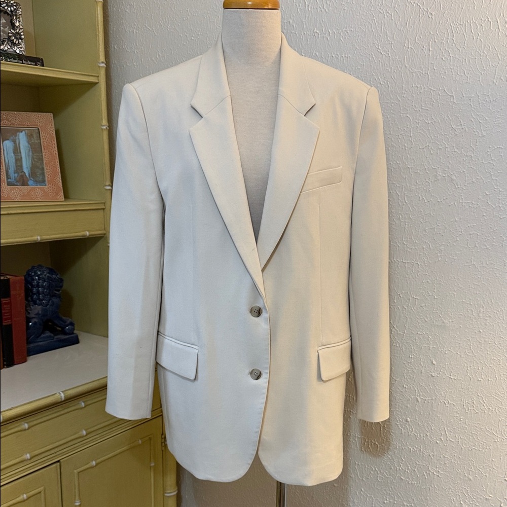Aritzia Babaton Blazer